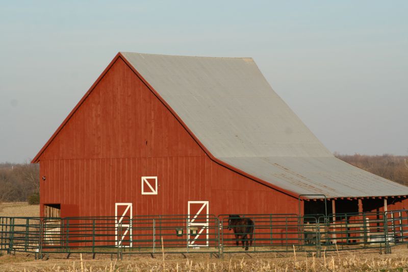 Barn with Reinforced Roof Structure