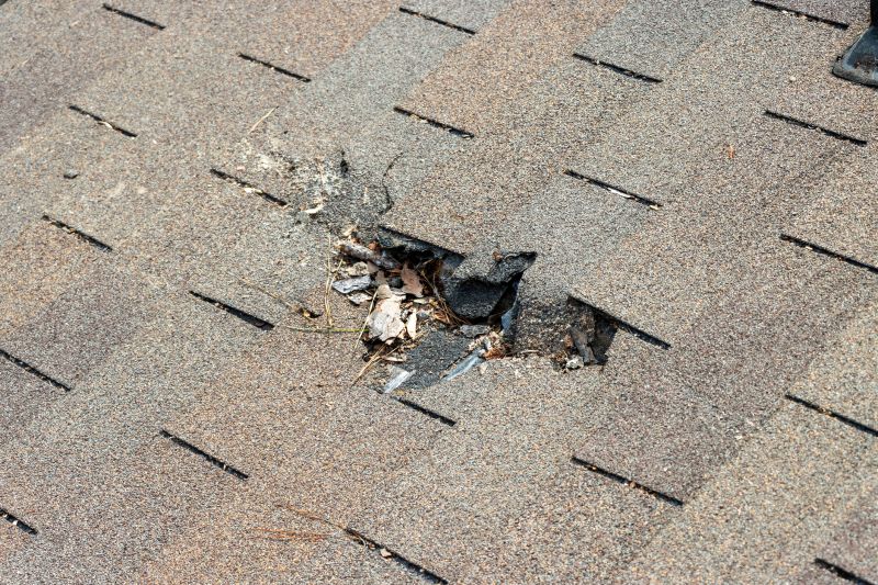 Damaged Roof Replacement in Boston, MA